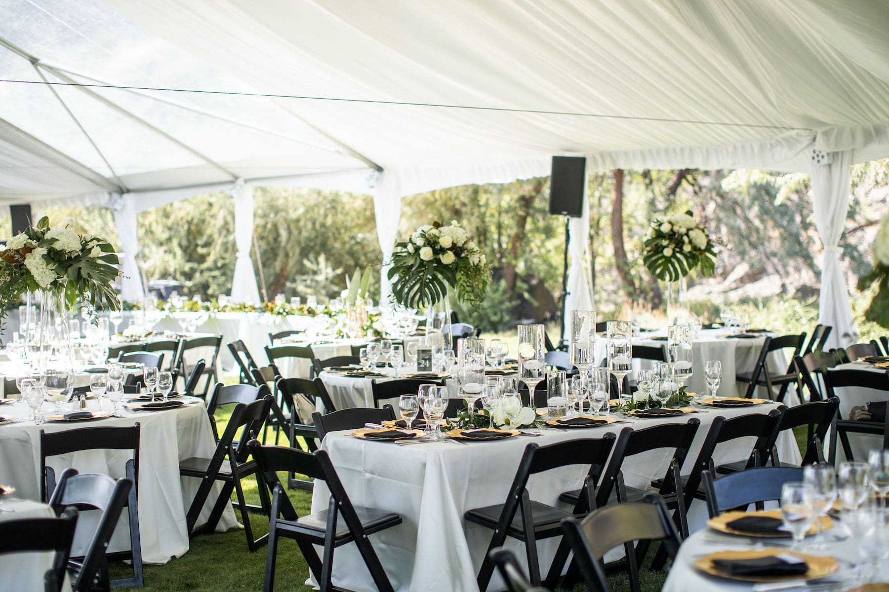 Pierre's party and online tent rental